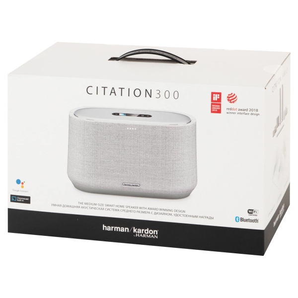 Купить Портативная акустика HARMAN / KARDON Citation 300 gray — Фото 5