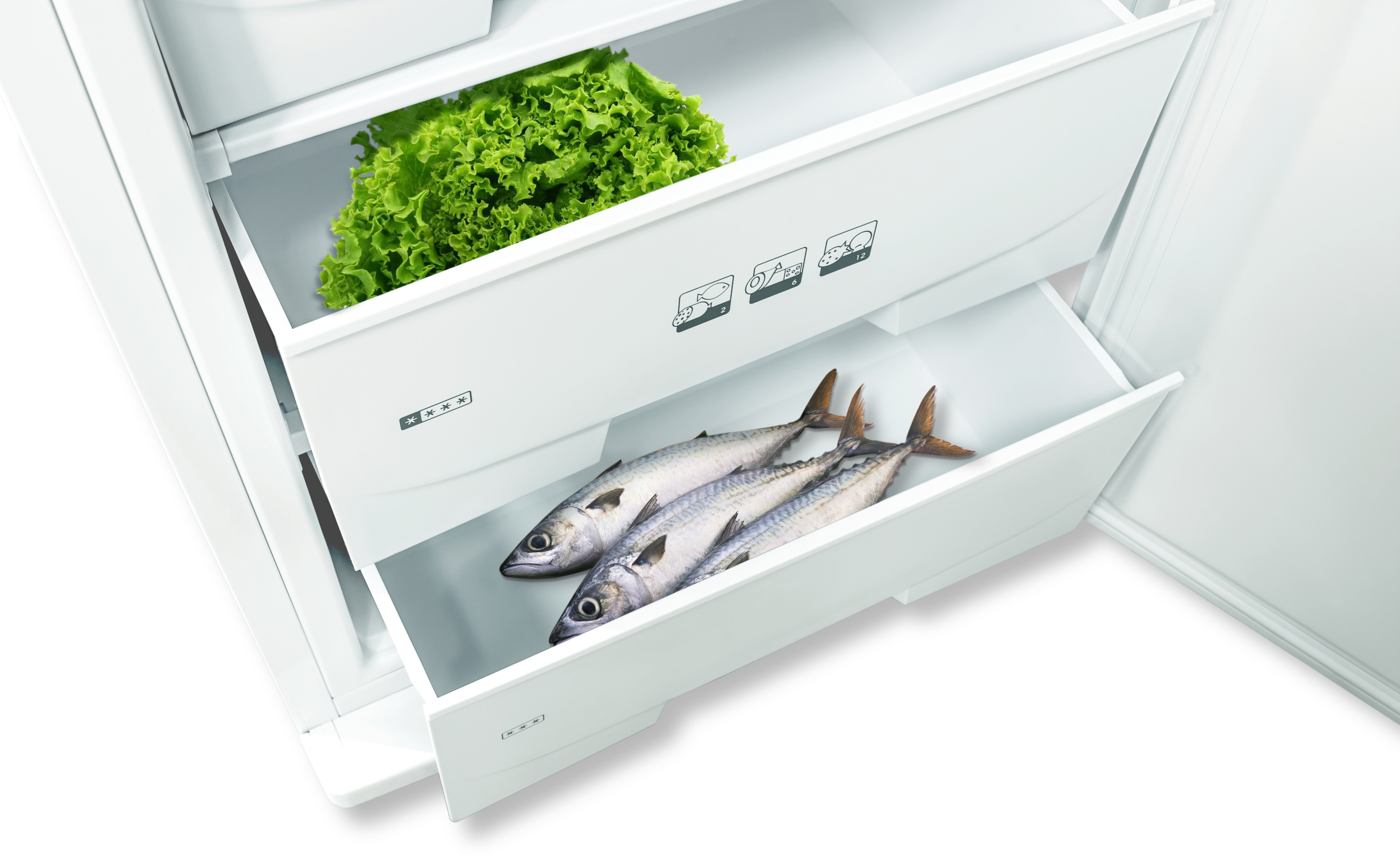 Купить Морозильная камера POZIS FV-108 серебристый — Фото 2