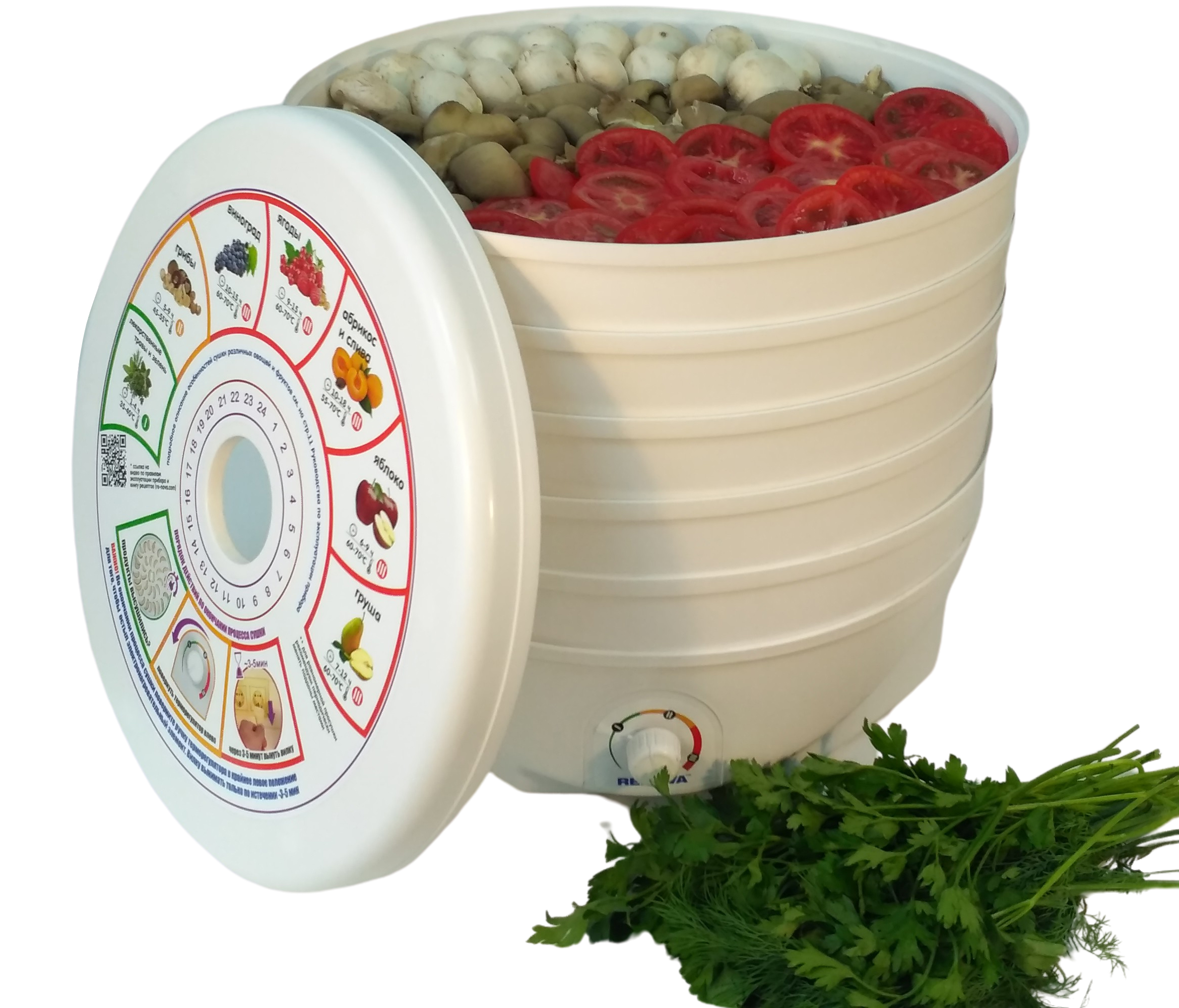 Купить Сушилка для овощей и фруктов RENOVA DVN37-500/5 (R)    — Фото 6