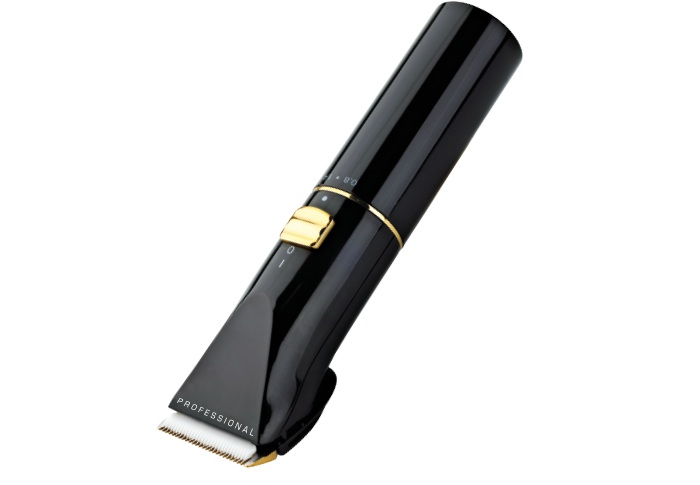  CENTEK CT-2119 (черный/золот)																		 — описание, фото, цены в интернет-магазине PT Stores