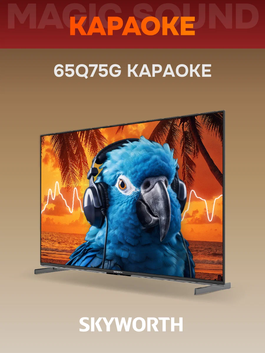 Купить Телевизор SKYWORTH 65Q75G — Фото 12