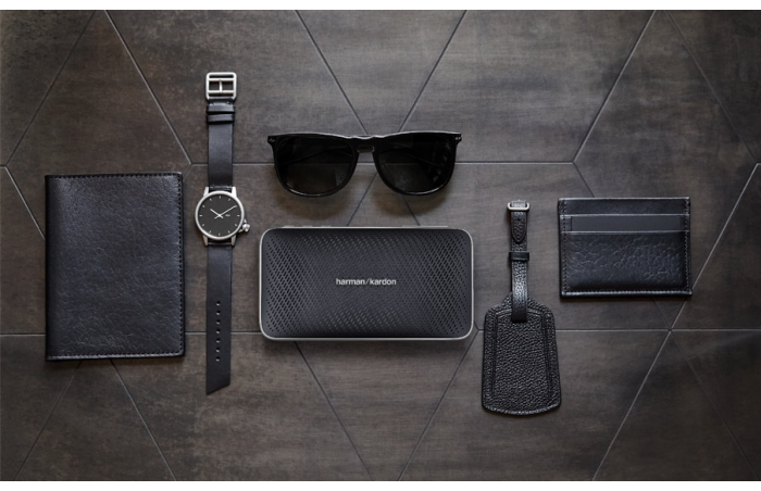Купить Портативная акустика HARMAN / KARDON ESQUIRE MINI 2 silver — Фото 5