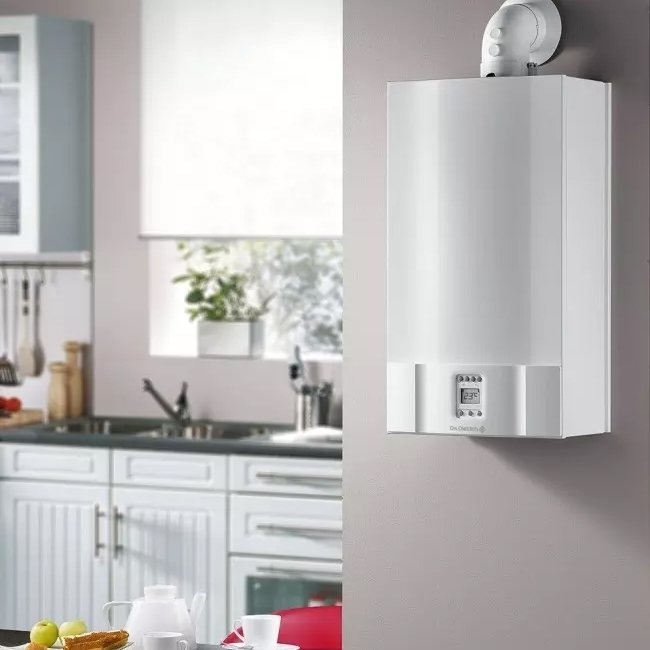 Купить Водонагреватель газовый DE DIETRICH ZENA PLUS MSL 31 FF — Фото 4