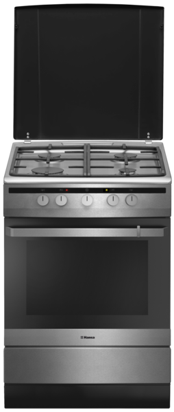 Газовая плита Hansa FCMX 68022																		 — описание, фото, цены в интернет-магазине PT Stores