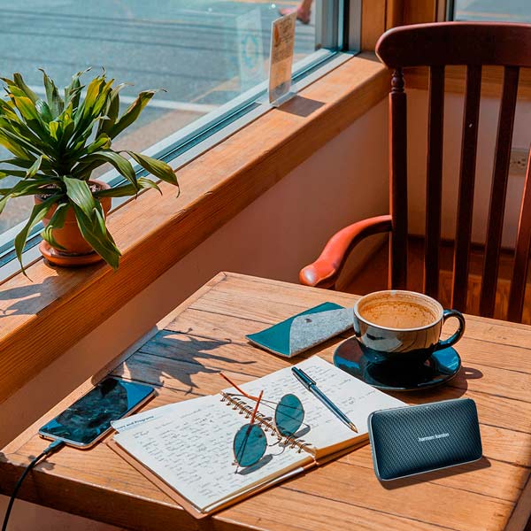 Купить Портативная акустика HARMAN / KARDON ESQUIRE MINI 2 black — Фото 5