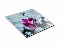 Напольные весы Redmond RS-733 серый/орхидея