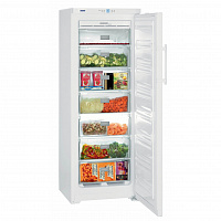 Морозильная камера LIEBHERR GNP 3056